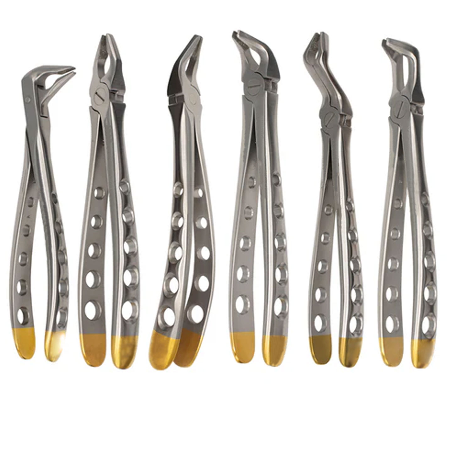 ダイヤモンド抜歯鉗子 6 個セット | New Med Instruments